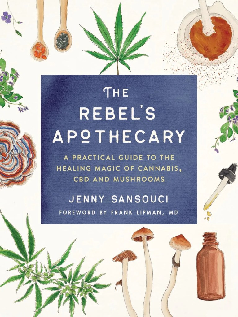 The Rebel's Apothecary by Jenny Sansouci