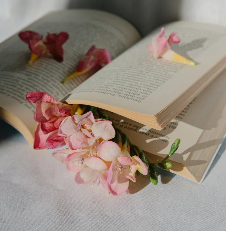 Photo of book and flowers